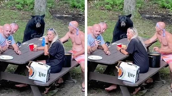 Ormana Piknik Yapmaya Giden Ailenin Masasına Misafir Olan Ayı