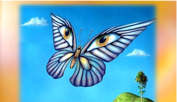 Что привлекло ваше внимание?