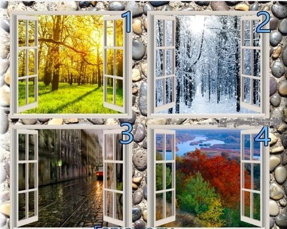 Выберите одно из окон, а мы охарактеризуем вас