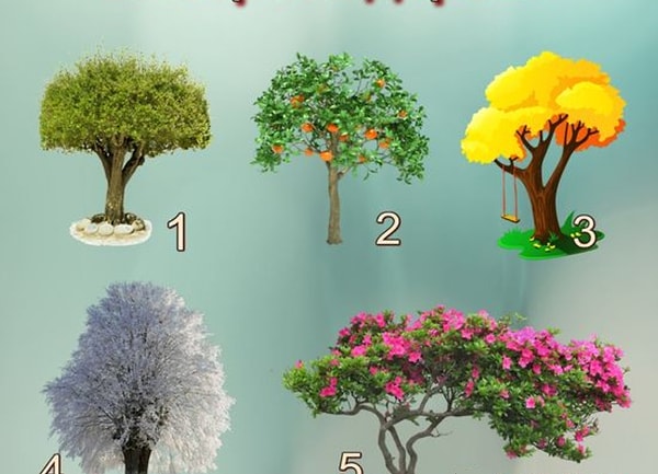 Выберите дерево: