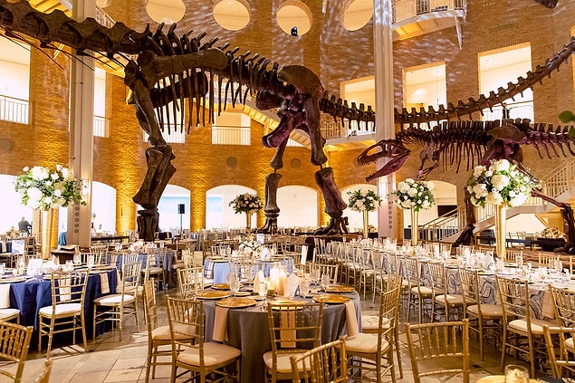 1. Fernbank Doğal Tarih Müzesi, Atlanta