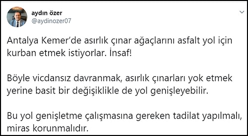 200 Yıllık Çınarların Önünde Nöbet Başlattılar: 'Yol İçin Ağaçlar Katledilmesin!'