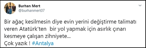 200 Yıllık Çınarların Önünde Nöbet Başlattılar: 'Yol İçin Ağaçlar Katledilmesin!'