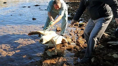 Yine Utandık! Ülkemizin Dört Bir Yanından 'Keşke Yaşanmasaydı' Dediğimiz 14 Olay