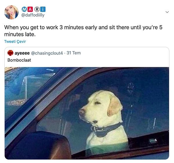 1. "İşe 3 dakika erken gitmişsindir ve 5 dakika geç kalana kadar oturuyorsundur."