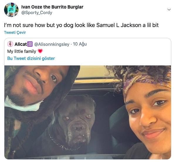 6. "Nasıl bilmiyorum ama köpeğiniz biraz Samuel L Jackson'a benziyor."