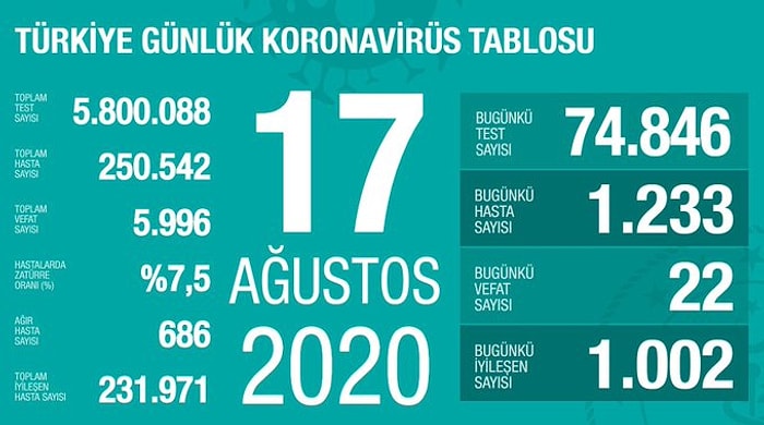 Hasta Sayısı 250 Bini Geçti: Son 24 Saatte 1.233 Yeni Vaka, 22 Ölüm