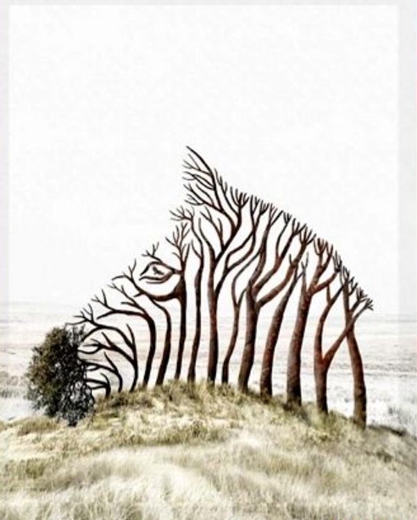 Согнутые деревья