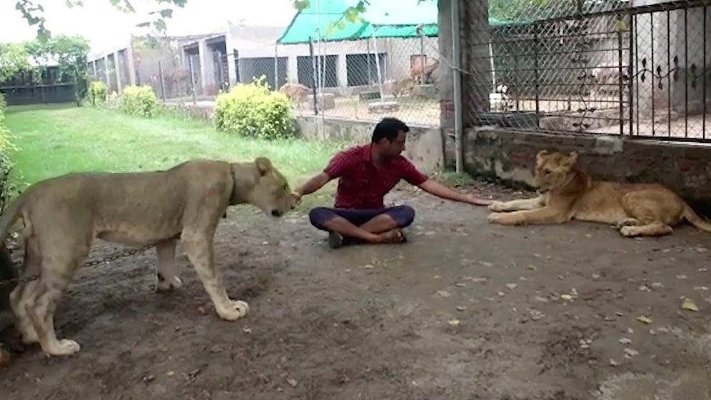 Evin Bahçesini Hayvanat Bahçesine Çeviren 'Hayvansever' Adamın Birlikte Yaşadığı Hayvanları Görünce Çok Şaşıracaksınız