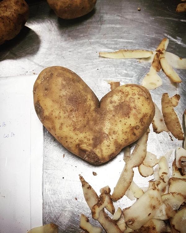 11. Kalp şeklindeki patates: