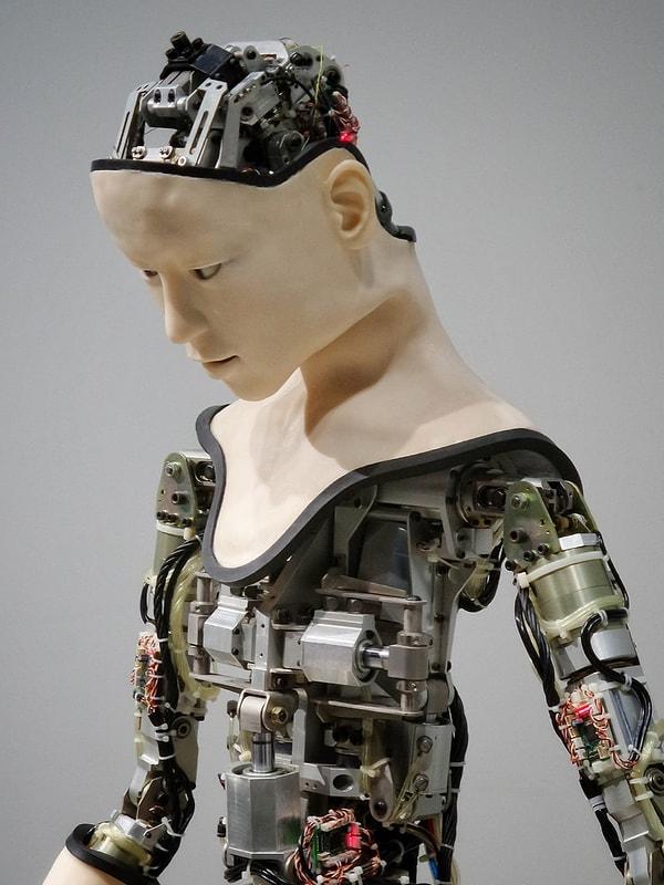 Bilim insanlarının insan beyni ile yapay zekayı birleştirebilecek bir materyal bulmasıyla birlikte siborglarla (insan ve robot karışımı sibernetik organizma) dolu bir gelecekle karşı karşıya kalabiliriz.