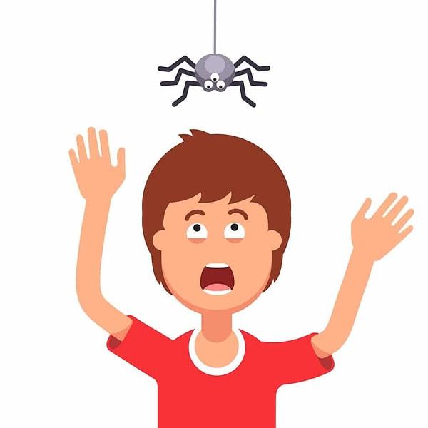 4. Araknofobi - Örümcek, akrep ve diğer eklem bacaklı canlılardan korkma hastalığı