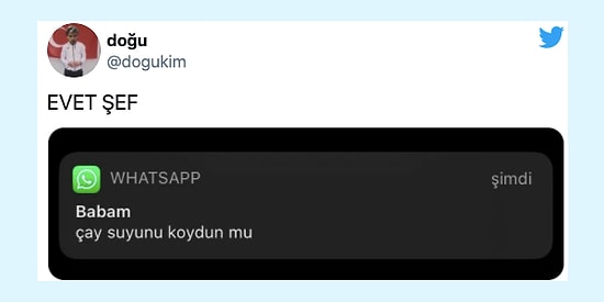 Her Ne Yapıyorsanız Bırakıp Okumanız Gereken Haftanın En Komik 28 Tweeti
