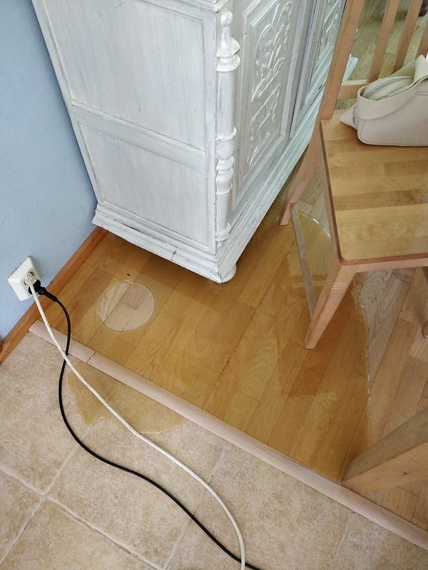 14. "Моя мама вылила на пол 5 килограммов меда"