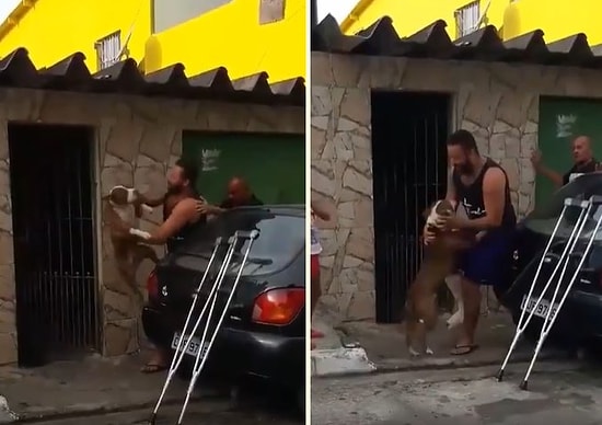 Bir Süre Hastanede Kaldıktan Sonra Eve Dönen İnsan Dostuna Kavuşan Köpeğin İnanılmaz Mutlu Olduğu Anlar