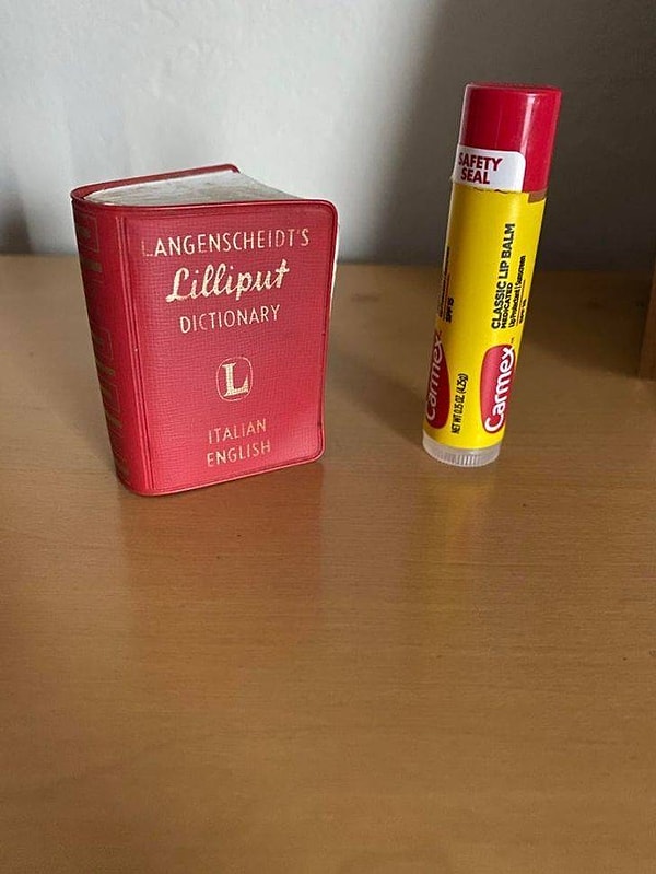 12. «Самый маленький словарь на свете»