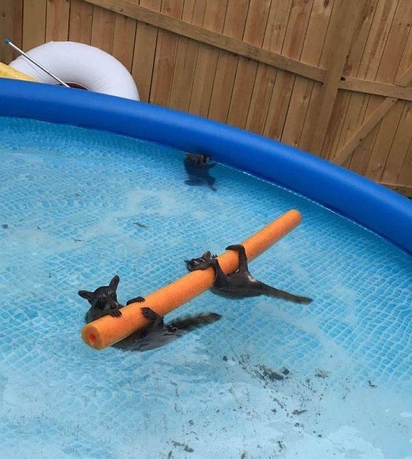 10. ... и даже вот так!