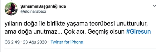 Doğal Afet mi Yoksa İnsan Eliyle Yaratılmış Felaket mi? Giresun'daki Hatalı Şehirleşmeyle İlgili Hak Verilecek Yorumlar