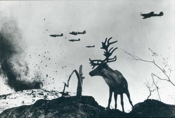14. Bombardımanın arasında bir geyik, 1941.