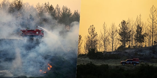 Adana'daki Orman Yangınına Müdahale Sürüyor: 200 Hektardan Fazla Alan Kül Oldu, 6 Köy ve 800 Hane Boşaltıldı