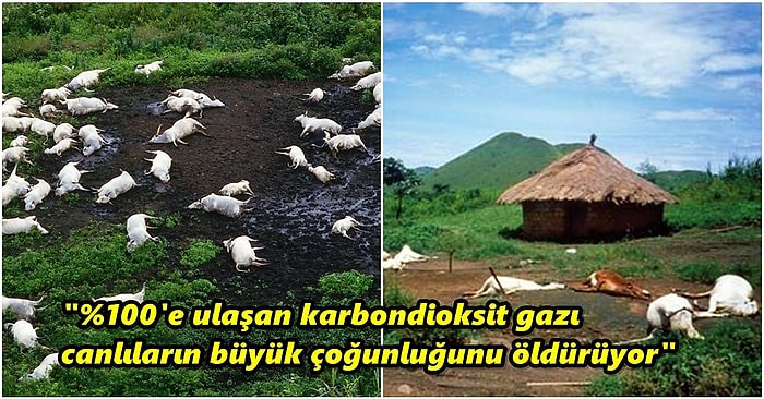 Doğanın Diğer Yüzü: 1746 İnsan ve 3500 Hayvanın Hayatını Kaybettiği Kamerun'daki Nyos Gölü Faciası