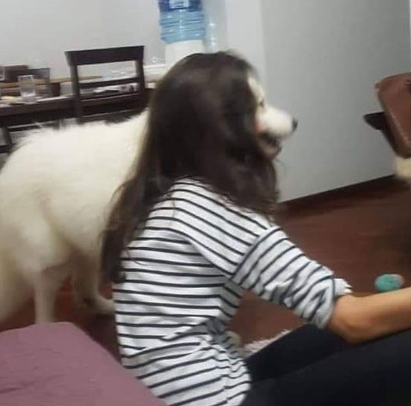 Кого-то вы мне напоминаете...