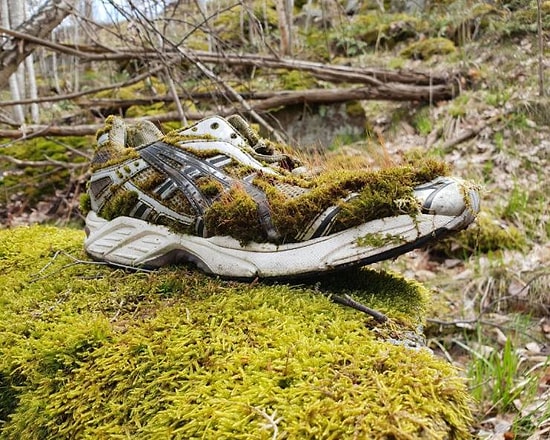 18 доказательств того, что природа все еще знает, как нас удивить