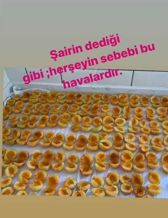 14. Mevsimi gelmiş herhalde. :)