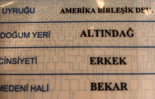 Görünce 'Ne Alaka?' Diye Sormadan Edemeyeceğimiz Gariplikte Birbirleriyle Yarışan 19 Kare