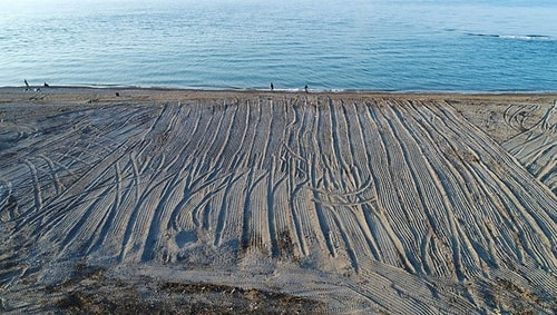 İş Makineleri İle Tarla Gibi Sürülmüştü: Antalya'da 50 Caretta Caretta Yuvası Yok Oldu