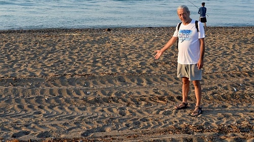 İş Makineleri İle Tarla Gibi Sürülmüştü: Antalya'da 50 Caretta Caretta Yuvası Yok Oldu