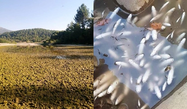 Antalya’nın Manavgat ilçesine bağlı Değirmenözü köyünde Kasımlar Barajı ve HES’te nehir yatağına verilmesi gereken can suyu kesilince o güzelim Köprüçay Akarsuyu kurudu.