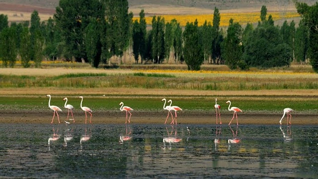 5. Seyfe Gölü