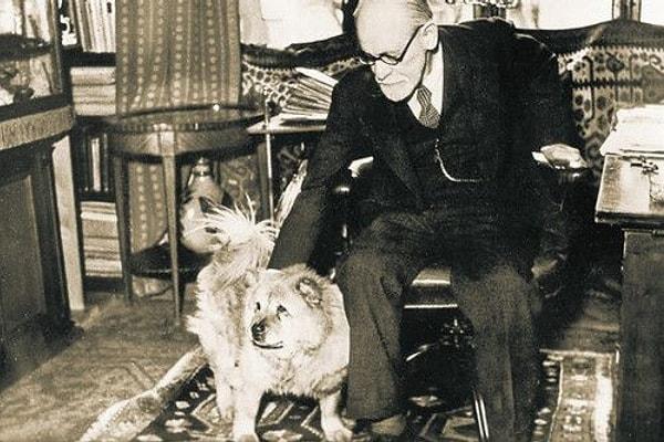 2. Jo-Fi: Sigmund Freud'un teşhislerine yardım eden köpek