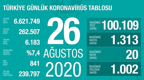 Koronavirüs Tablosu: Bin 313 Yeni Vaka Tespit Edildi, 20 Kişi Hayatını Kaybetti