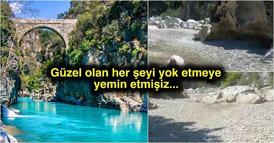 Yanlış Tarım Politikalarıyla Mahvedilen Rant Uğruna Yok Olup Giden Doğal Güzelliklerimiz