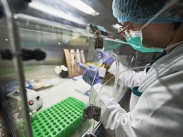 Covid-19 için aşı çalışmaları yürüten Washington Üniversitesi'nden ise çok güzel bir haber geldi. Geliştirilen nazal aşı, fareler üzerinde başarılı sonuç verdi.