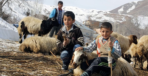 Bizden çok uzaklarda bir yerlerde gözleri pırıl pırıl parlayan, hayatın yükünü daha küçük yaşlarda omuzlamak zorunda kalan çocuklarımız var. Zorluklarla geçen hayatlarını verdikleri emeklerle, kazandıkları başarılarla ve hayalleriyle güzelleştirmeyi başarıyorlar.