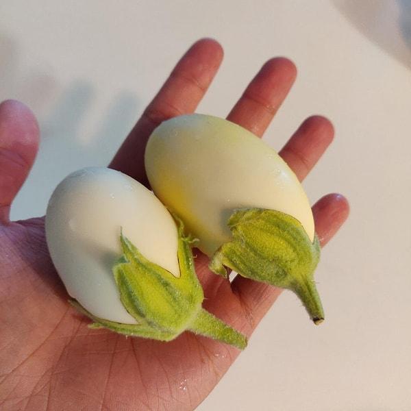 13. Yumurtaya benzeyen beyaz bir patlıcan türü: