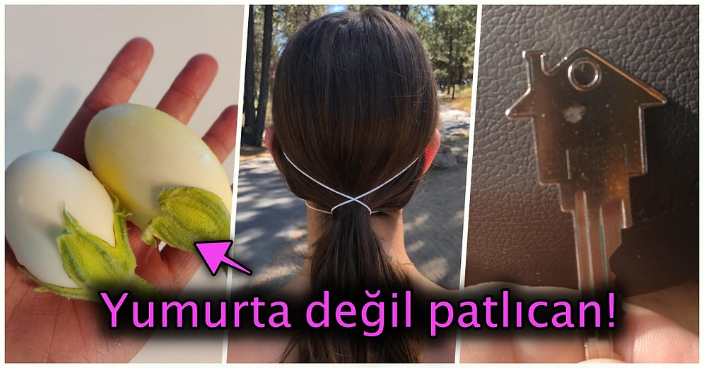 Hep Aynı Şeyleri Görmekten Sıkılanları İlginçliğe Doyuracak Birbirinden Acayip 19 Yeni Görsel