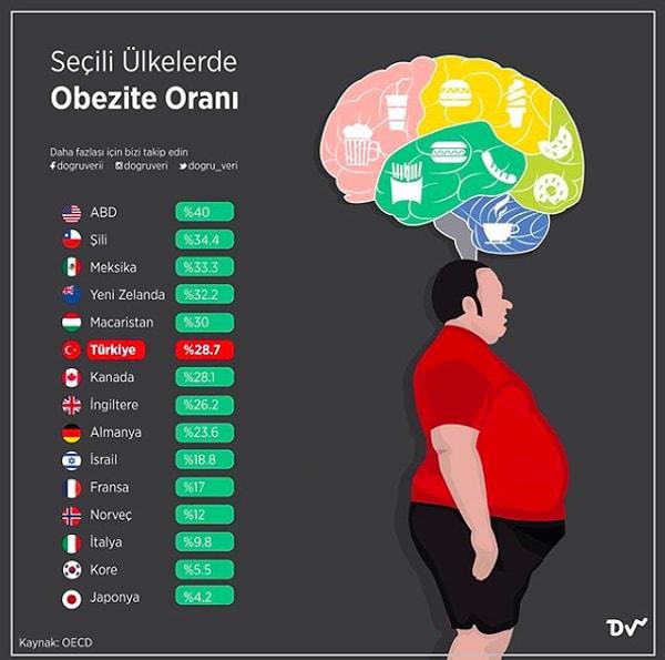 13. Seçili Ülkelerde Obezite Oranı