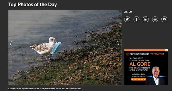 Fotoğrafın Reuters'ın "Günün Fotoğrafları" kategorisinde 12 Ağustos tarihinde yayınlandığını da görüyoruz.
