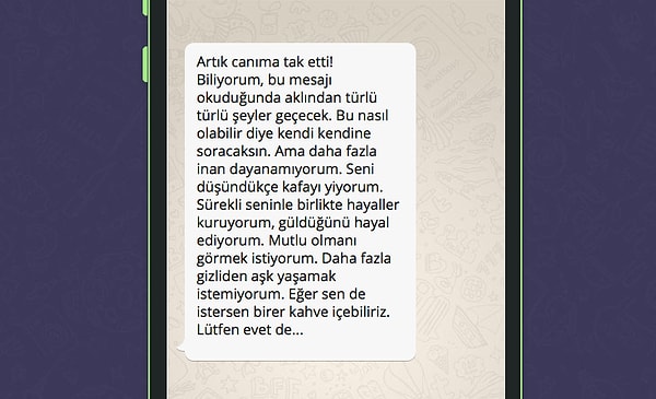 İşte WhatsApp'tan platonik aşkının atacağı mesaj;