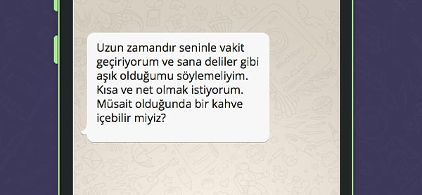 İşte WhatsApp'tan platonik aşkının atacağı mesaj;