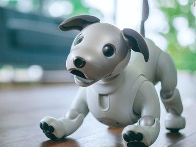 4. Aibo Robot Hayvan