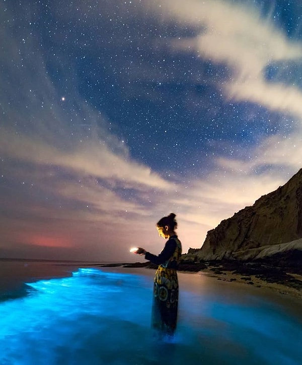 7. Свет, испускаемый биолюминесцентным планктоном в воде.