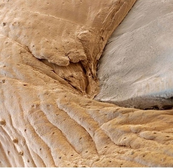 17. Это гвоздь