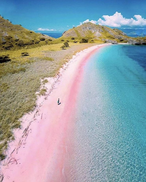 1. Розовый пляж Лабуан Баджо, Индонезия