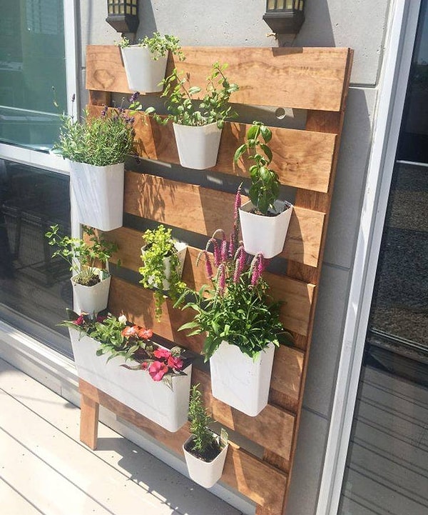 «В этом году сделал собственную зеленую стену на балконе»