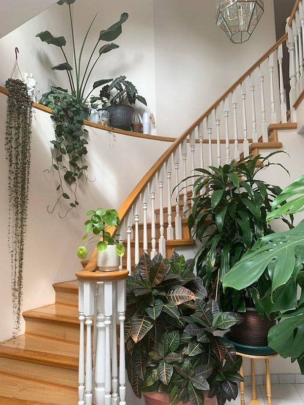 «Эти ребята всегда приветствуют меня, когда я прихожу домой»